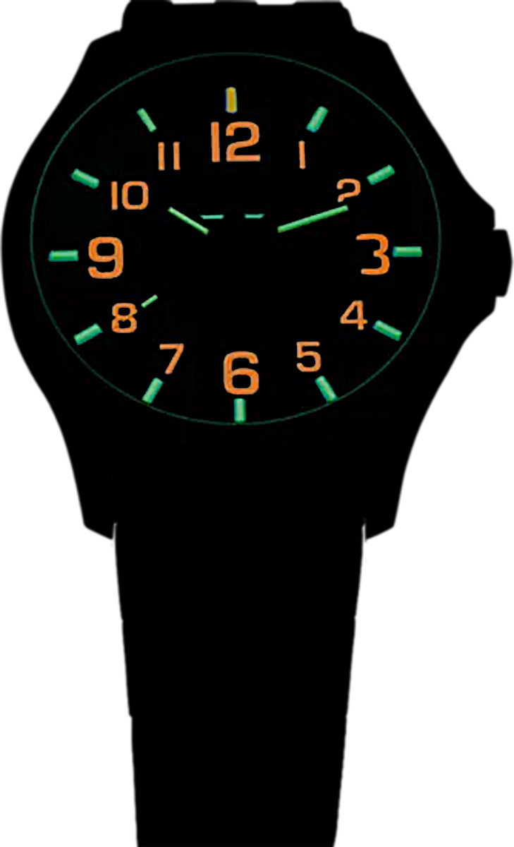Traser P67 Officer Pro 107870 Men's Watch • trigalight® Tritium • Sapp ...