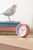 Karlsson Circus Rings KA6010PI Wecker Flamingopink • Geräuschloses Sweep-Uhrwerk • Lichtfunktion, Bild 4