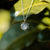 Shade Halskette mit Sonnen Anhänger - Holzkern Modell: Jewelry