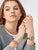 Stainless Steel Earrings - Bering Jewelry Model: 708-37-05