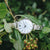 Holzkern Skadi Skadi Damen Armbanduhr Weiß • Miyota Quarzwerk • Perlmutt-Zifferblatt, Bild 3