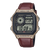 Casio Timeless AE-1200WHL-5AVEF Herren Armbanduhr • 10-Bar-Wasserdichtigkeit • Weltzeit mit 31 Zeitzonen, Bild 2