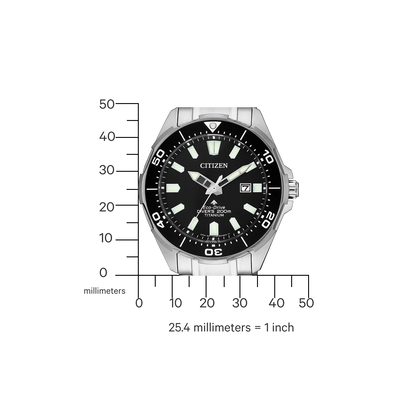 Citizen Promaster BN0200-81E Uhr • Super Titanium • Eco-Drive