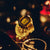 Casio CRW-001G-9ER Ringuhr Digital Goldfarben • Goldionenbeschichtung • Dual-Zeit & Stoppuhr, Bild 11