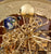 Hermle Tellurium Tourbillon Messing 23069 • Vergoldetes Tourbillon • Tellurium mit Mondphase