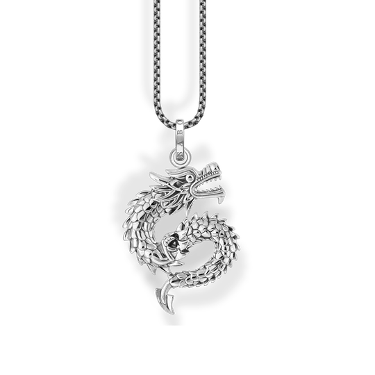 Silberne Kette mit geschwärztem Drachen-Anhänger, Detailansicht