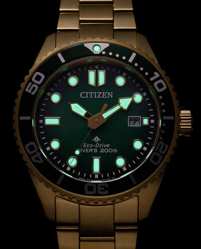 Citizen Promaster BN0262-59W Herrenuhr • Eco-Drive • Saphirglas