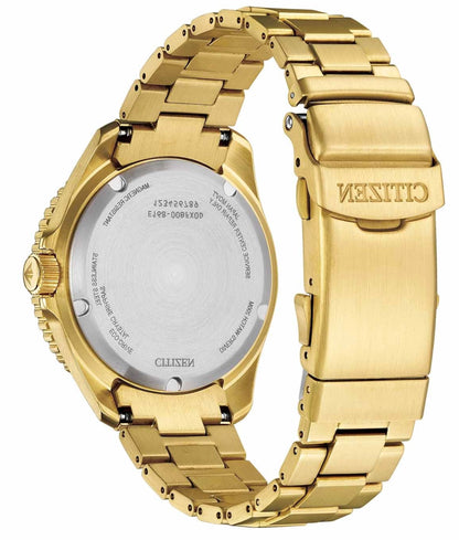 Citizen Promaster BN0262-59W Herrenuhr • Eco-Drive • Saphirglas