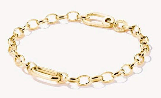 Glieder- Charm-Armband vergoldet- Thomas Sabo Modell: C1202-413-39-L17