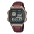 Casio Timeless AE-1200WHL-5AVEF Herren Armbanduhr • 10-Bar-Wasserdichtigkeit • Weltzeit mit 31 Zeitzonen