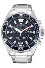 Citizen-AT2431-87L