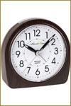 Atlanta Alarm Clocks-2507/20