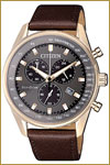 Citizen-AT2393-17H